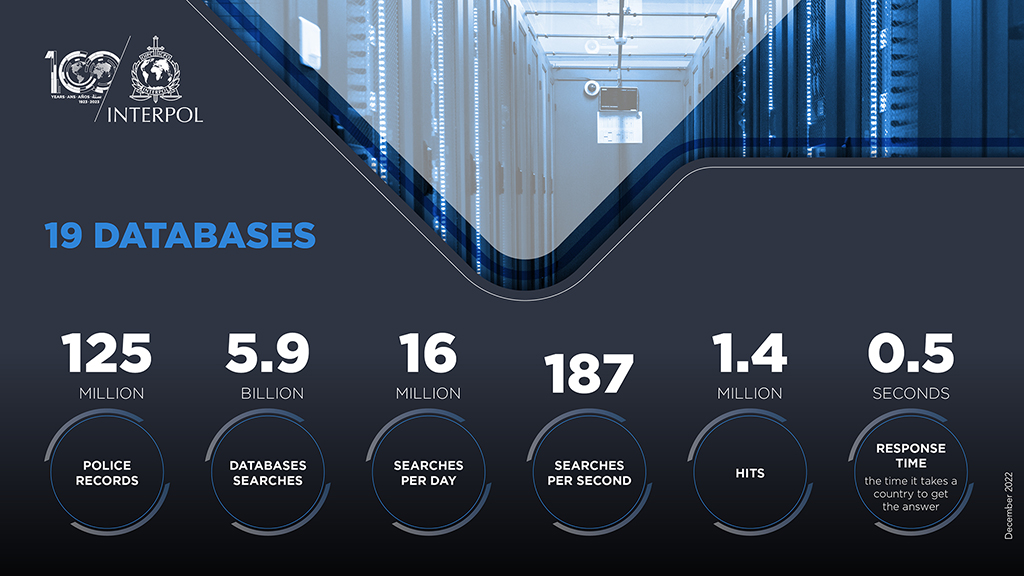 Interpol databases