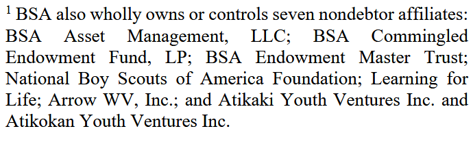 7 assets of BSA
